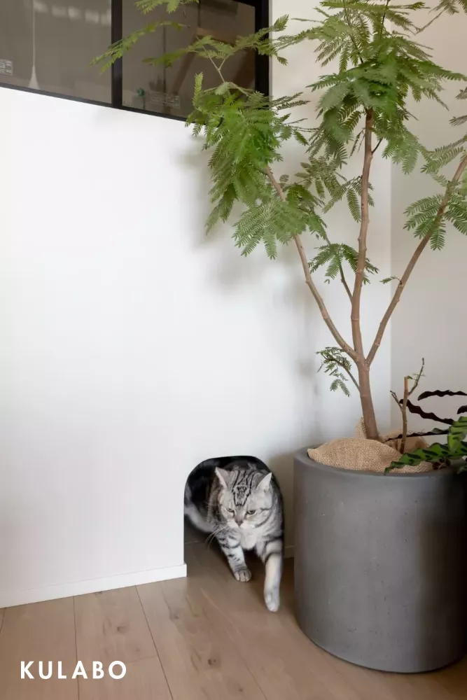 リノベーション事例