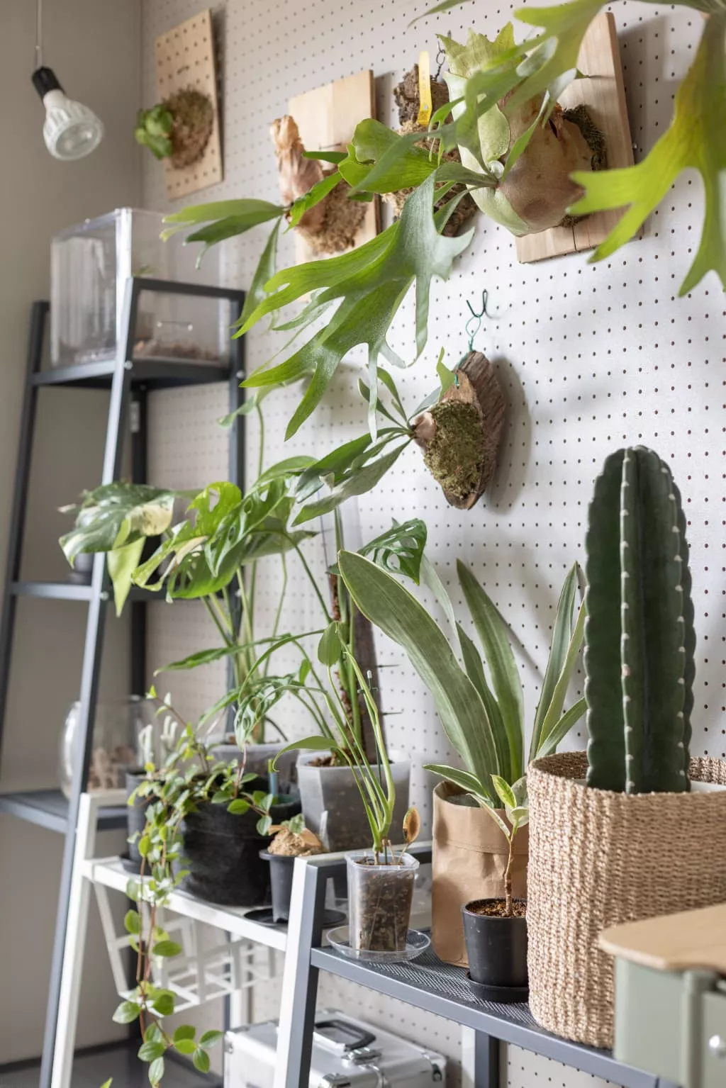 一番のこだわりポイントはどこですか?